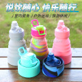 Silicone Outdoor Water Bottle